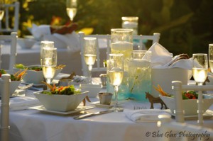 Tablescape