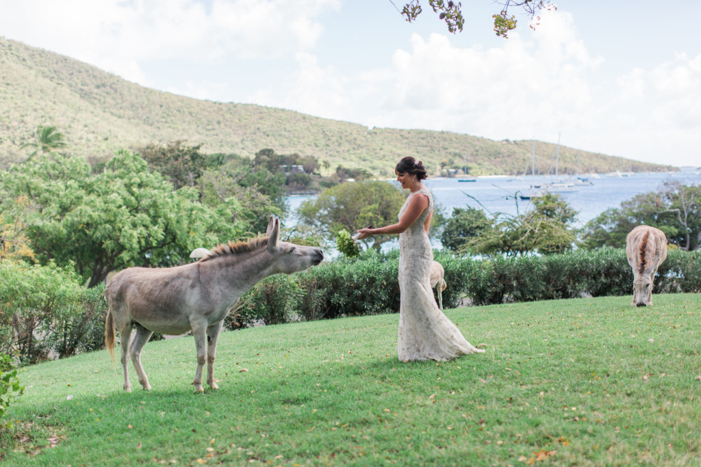 View More: http://savanahloftus.pass.us/slawsby-wedding